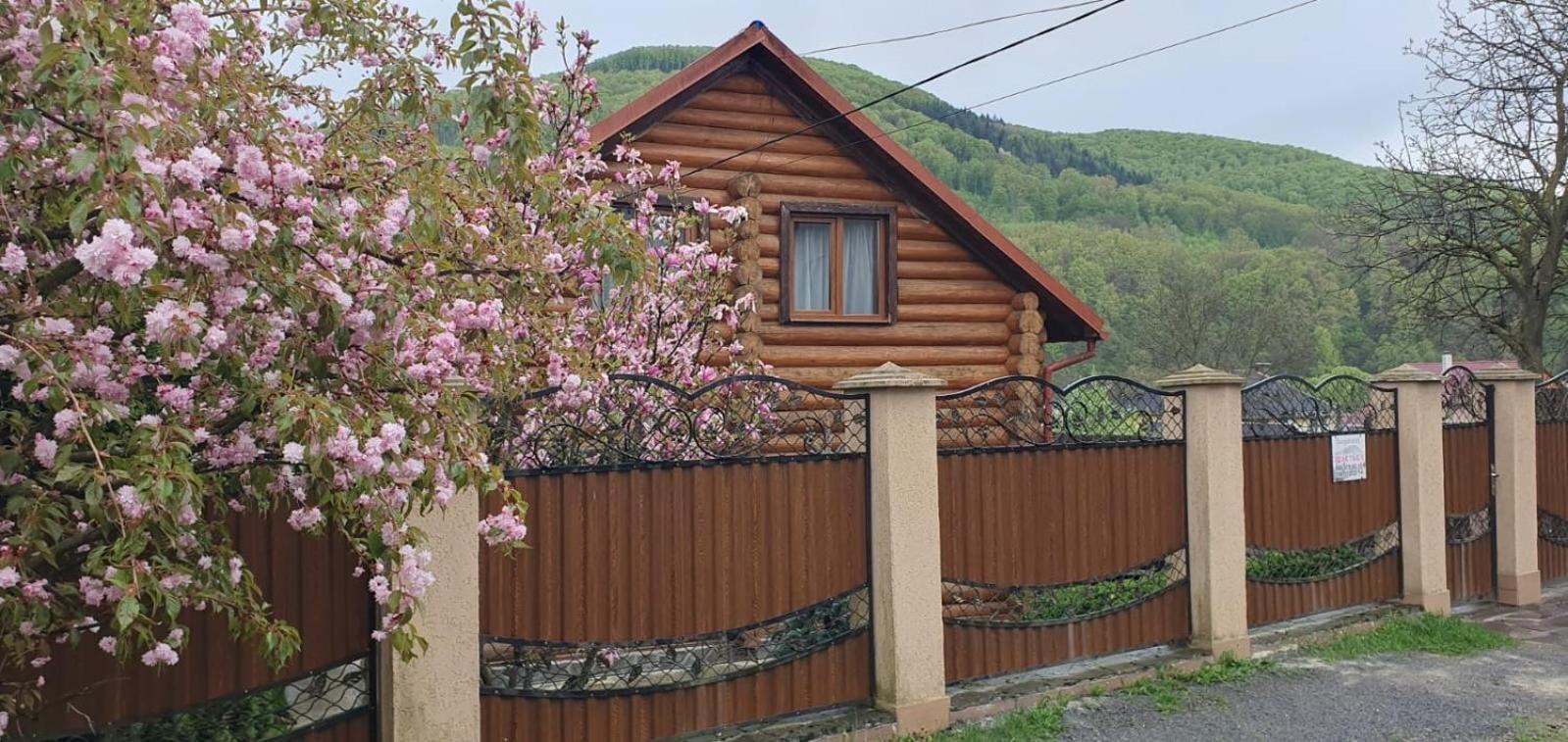 Smerekovyi Dvir Polyana  Bagian luar foto